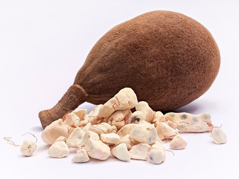 Huile de Baobab — 100% pure & naturelle